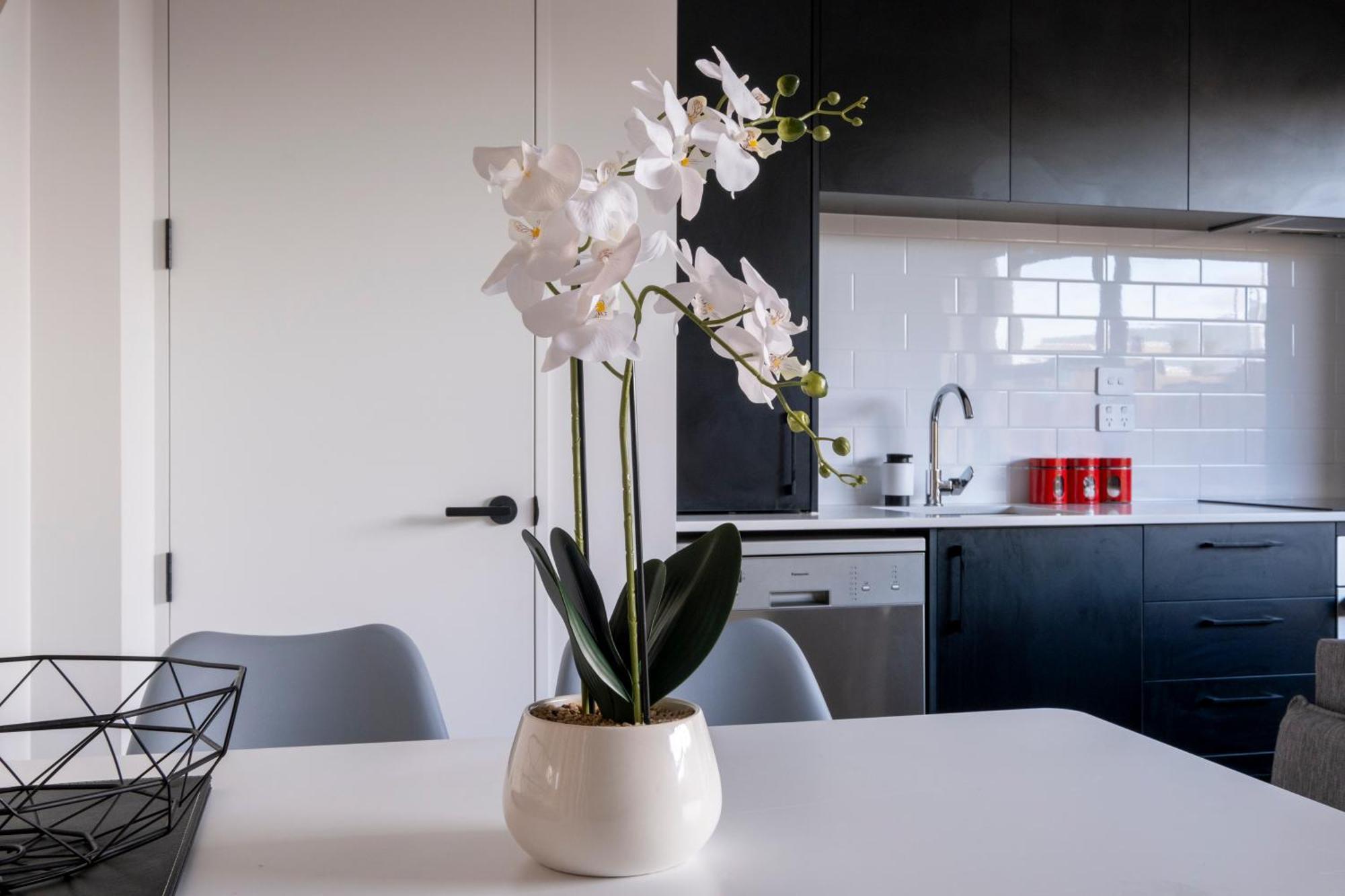 Luxury 2 Bed Townhome In Cbd Christchurch Exterior photo